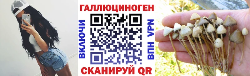 Галлюциногенные грибы ЛСД  Нижний Ломов 